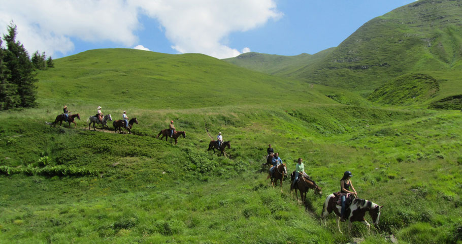 Cavalli del Mugello 3(DE)