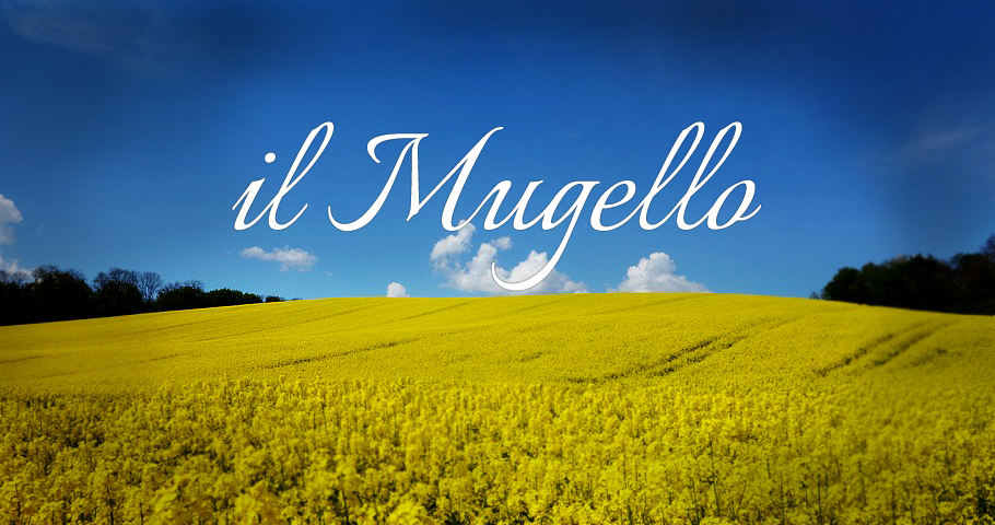 Holiday in historic mansion in Barberino Tenuta Il Cerro Holidays in historical mansions Tuscany villas pools Mugello